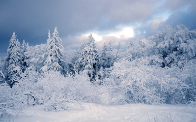Fototapeta na wymiar Winterstimmung auf dem Großen Feldberg im Taunus