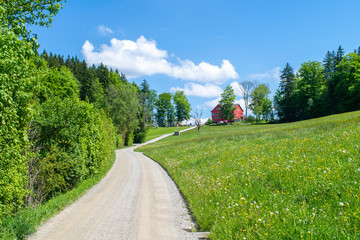 Fototapeta na wymiar Swiss countryside outside Adliswil in Switzerland