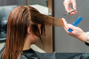 Hands of hairdresser cutting long hair of woman in beauty salon.