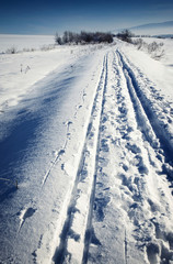 Fototapeta na wymiar cross-country ski run through snowy landscape