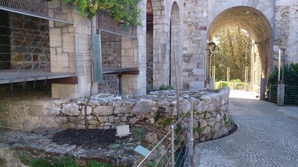 Fototapete bei efototapeten.de bestellen   