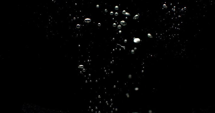 Yellow Lemons, citrus limonum, Citrus aurantifolia, Fruits falling into Water against Black Background, Slow Motion 4K.