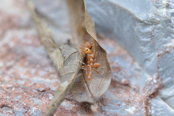 fighting and on the floor