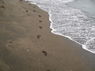 Baby footprints on the sandy beach near the sea.