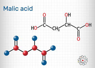 Malic acid C4H6O5 molecule, is dicarboxylic acid. Structural chemical formula and molecule model. Sheet of paper in a cage