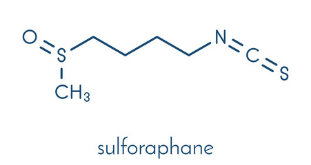 Sulforaphane cruciferous vegetable molecule. Skeletal formula.