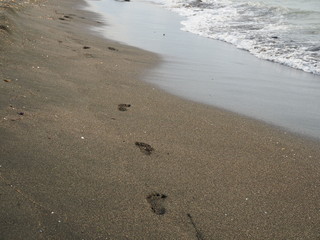 Baby footprints on the sandy beach near the sea.