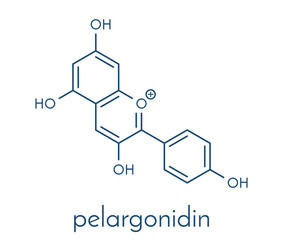 Obraz premium Pelargonidin pigment molecule. Skeletal formula.