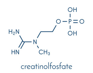 Creatinol-O-Phosphate or COP molecule. Skeletal formula.