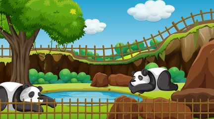 Wandaufkleber Scene with two pandas in the zoo © GraphicsRF