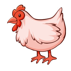 Pink chicken on white background