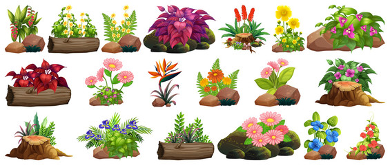 Large set of colorful flowers on rocks and wood © GraphicsRF