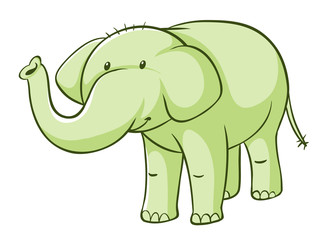 Green elephant on white background