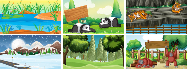 Six scenes with animals in the park