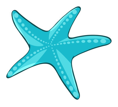 Blue starfish on white background