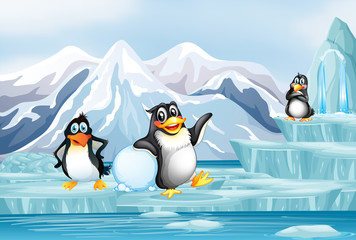 Obraz premium Scene with three penguins on ice