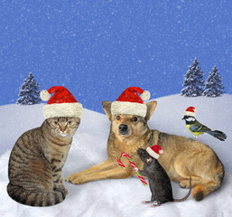 Cat, dog, rat and titmouse in Santa Claus hats are sitting in the winter Christmas forest. It's snowing.