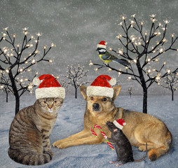 Cat, dog, rat and titmouse in Santa Claus hats are sitting in the winter Christmas forest decorated with electric garlands. It's snowing.