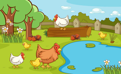 Obraz na płótnie Canvas Scene with chickens in the park