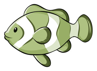 Green fish on white background