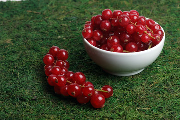 white bowl of fresh red currant on green grass close up. Horizontal image