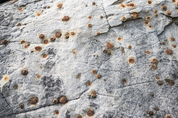 USA, Nevada, Clark County, Red Rock Canyon National Conservation Area. Iron Concretions in white sandstone form round spheres. Aka Moqui marbles or Shaman stones.
