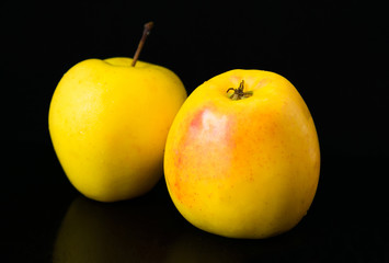  Two golden apples on a black background. Close-up.