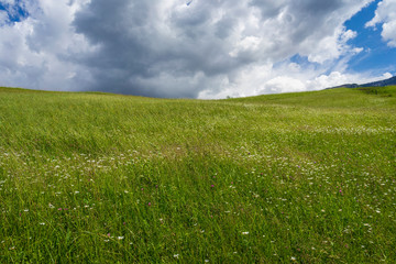 Meadow against the sky. Santa Maddalena village, Dolomites, Val di Funes, Italy.