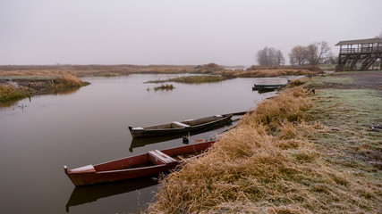 Narwiański Park Narodowy, Waniewo, Podlasie, Polska © podlaski49
