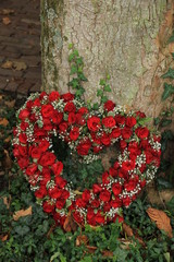 Red Heart shaped sympathy flowers