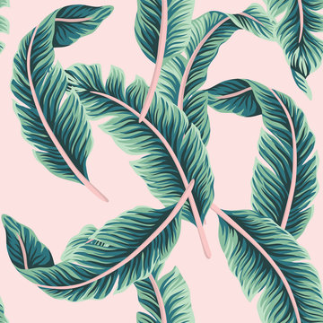 Tropical vector banana leaves floral seamless pattern pink background. Exotic jungle wallpaper.