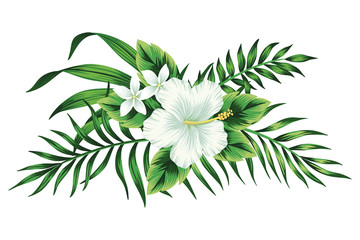 Tropical white hibiscus floral green leaves bouquet. Vector clip art. Jungle illustration.