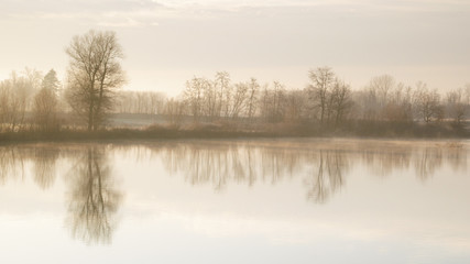 Trees reflection in a mist sunrise