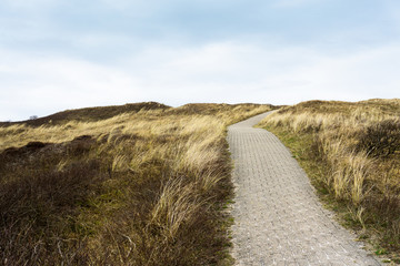 North Sea Dune Path