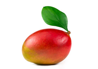 .mango on a white background