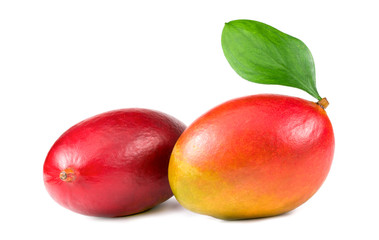 .two mangoes on a white background