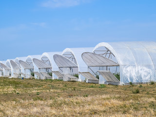 A group of greenhouses for growing tomatoes and cucumbers.