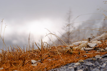 Fototapeta premium Bergtour