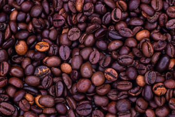 roasted coffee beans