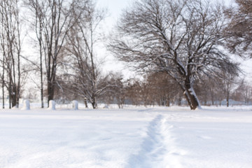 Fototapeta premium Winter poorly cleared road. Road in the countryside strewn with snow. Winter landscape with snowdrifts