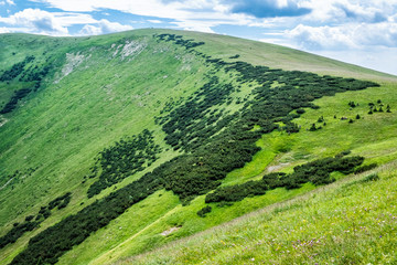 Obraz premium Ostredok hill, Big Fatra mountains, Slovakia