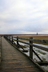Fototapeta premium old wooden pathway over the lake