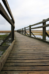Fototapeta premium old wooden pathway over the lake