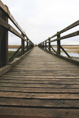 Fototapeta premium old wooden pathway over the lake