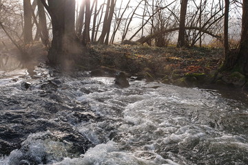 Morgenstimmung am Bach mit Nebel