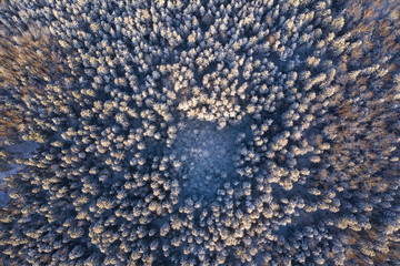Winter forest of central Russia aerial view