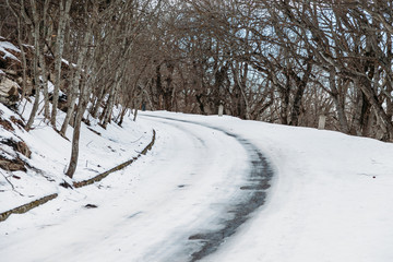 Naklejka premium dangerous turn of snow-covered road in the forest