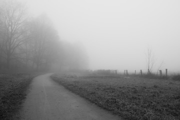 Fototapeta na wymiar Lonley path on a foggy morning in Germany
