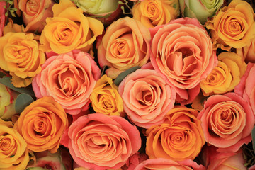 Yellow and orange roses