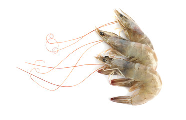 Fresh raw shrimps isolated on white, top view